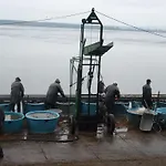 Casa de Campo U Hovorků S Bazénem - U Pískoven Vlkov